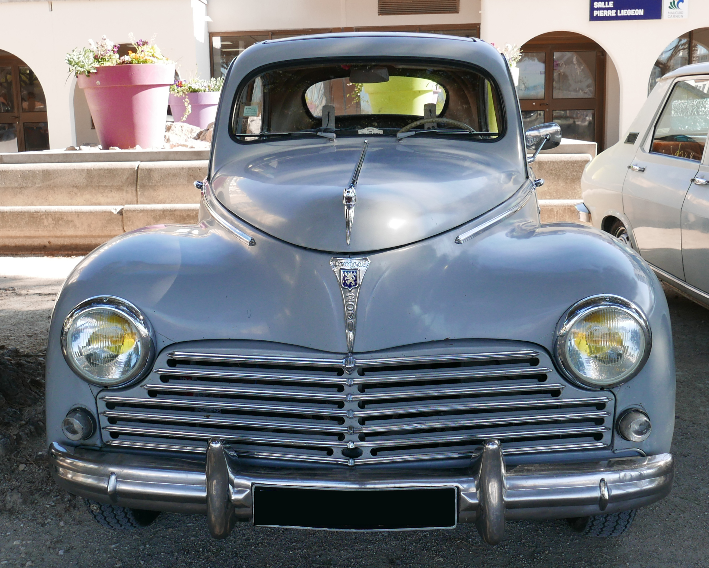 203 - 7 CV